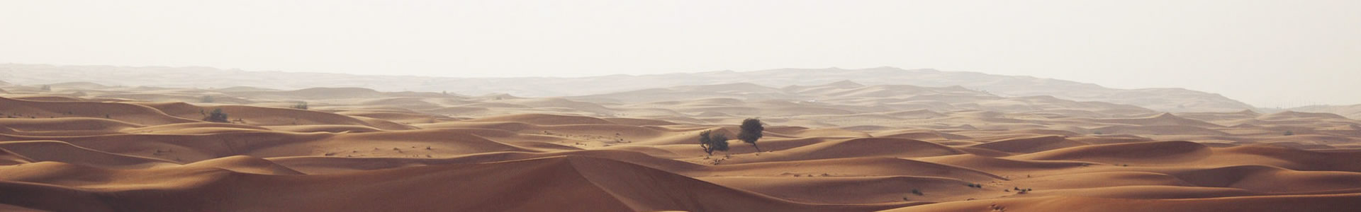 ϴũҵƼ޹˾
